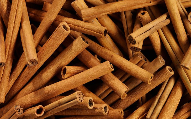 cinnamon-industry-sri-lanka-1